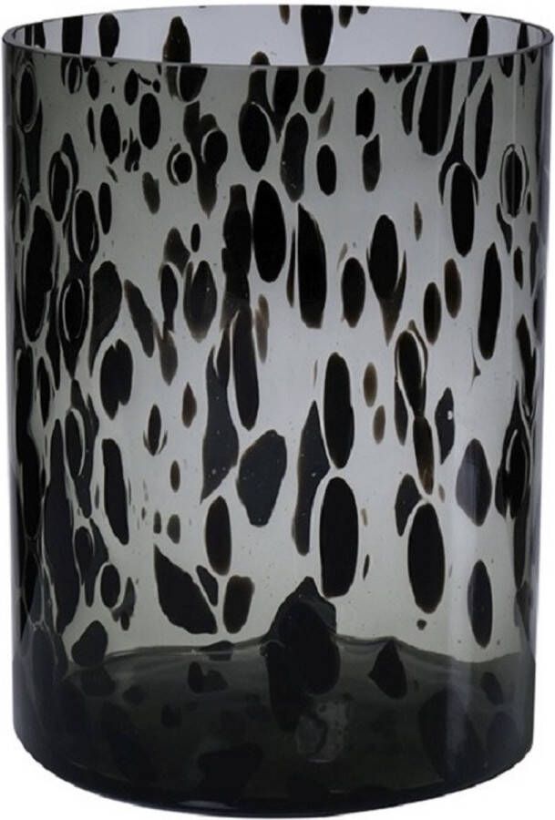 Hakbijl Glass Modieuze bloemen cylinder vaas vazen van glas 25 x 19 cm zwart fantasy Bloemen takken boeketten
