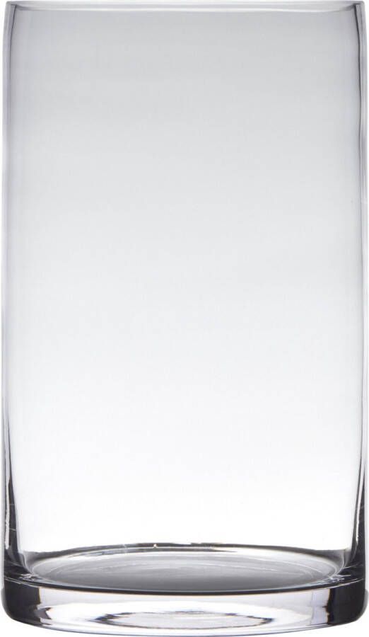 Hakbijl Glass Transparante home-basics Cilinder vorm vaas vazen van glas 30 x 15 cm Bloemen takken boeketten vaas voor binnen gebruik