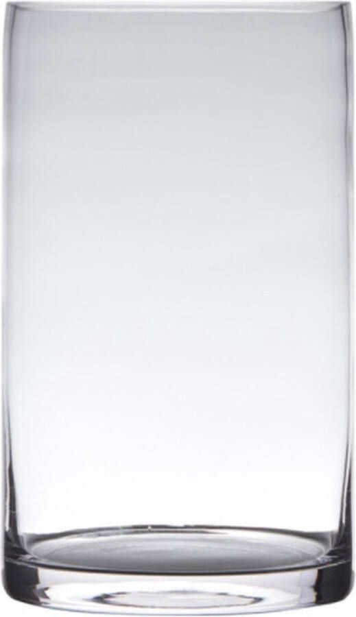 Hakbijl Glass Transparante home-basics Cilinder vorm vaas vazen van glas 40 x 15 cm Bloemen takken boeketten vaas voor binnen gebruik