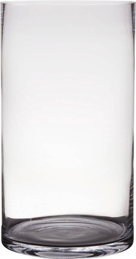 Hakbijl Glass Transparante home-basics Cylinder vaas vazen van glas 40 x 25 cm Bloemen boeketten binnen gebruik