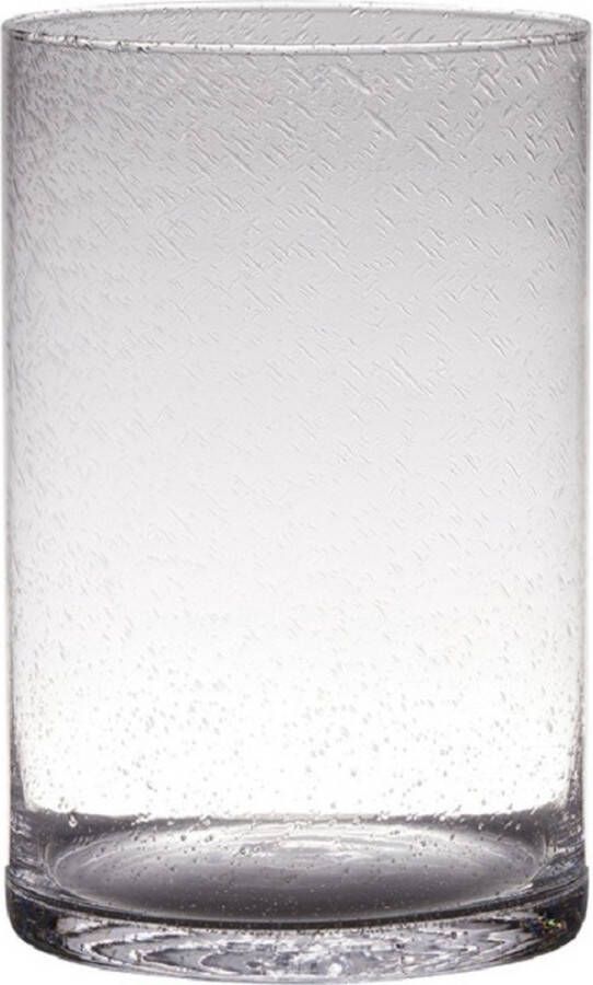 Hakbijl Glass Transparante home-basics Cylinder vorm vaas vazen van bubbel glas 30 x 19 cm Bloemen takken boeketten vaas voor binnen gebruik