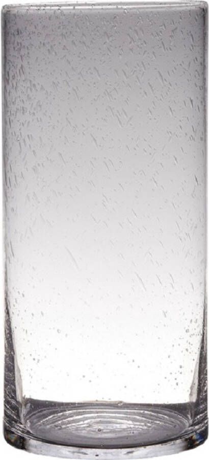Hakbijl Glass Transparante home-basics Cylinder vorm vaas vazen van bubbel glas 40 x 19 cm Bloemen takken boeketten vaas voor binnen gebruik