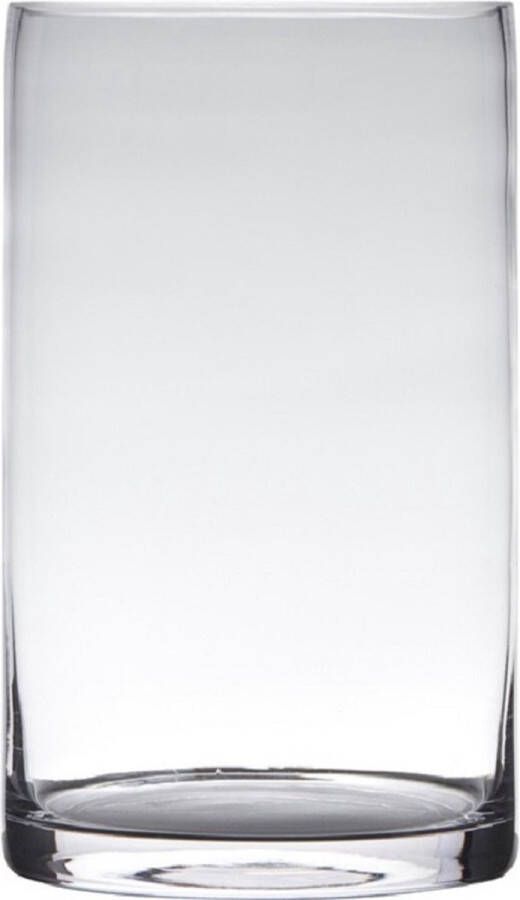 Hakbijl Glass Transparante home-basics Cylinder vorm vaas vazen van glas 20 x 15 cm Bloemen takken boeketten vaas voor binnen gebruik