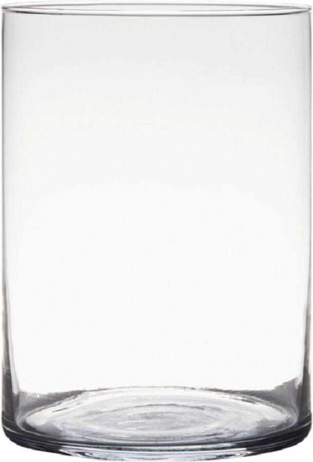 Hakbijl Glass Transparante home-basics cilinder vorm vaas vazen van glas 25 x 18 cm Bloemen takken boeketten vaas voor binnen gebruik