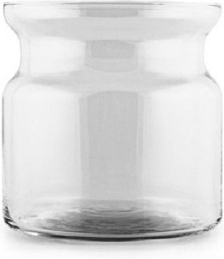 Hakbijl Glass Transparante home-basics vaas vazen van glas 19 x 19 cm Bloemen takken boeketten vaas voor binnen gebruik