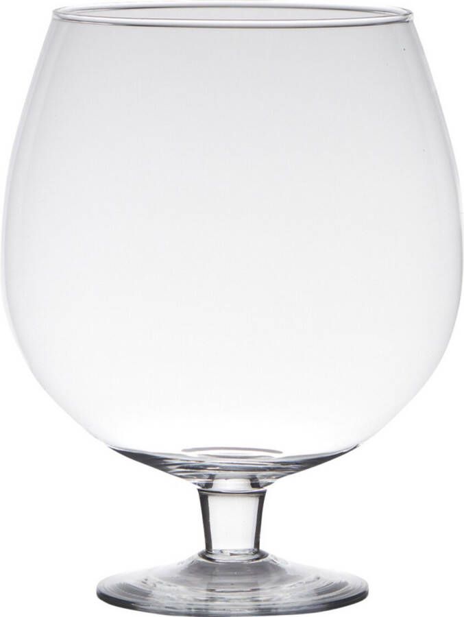Hakbijl Glass Transparante luxe stijlvolle Brandy vaas vazen van glas 30 cm Bloemen Terrarium vaas voor binnen gebruik