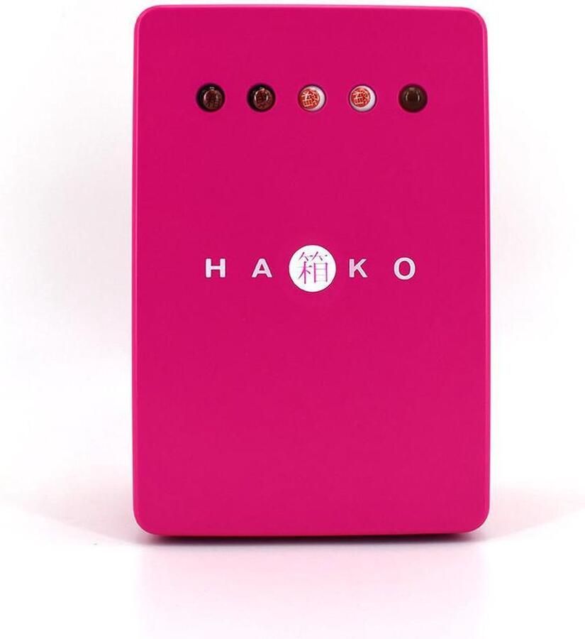 Hako Denkspel (roze)