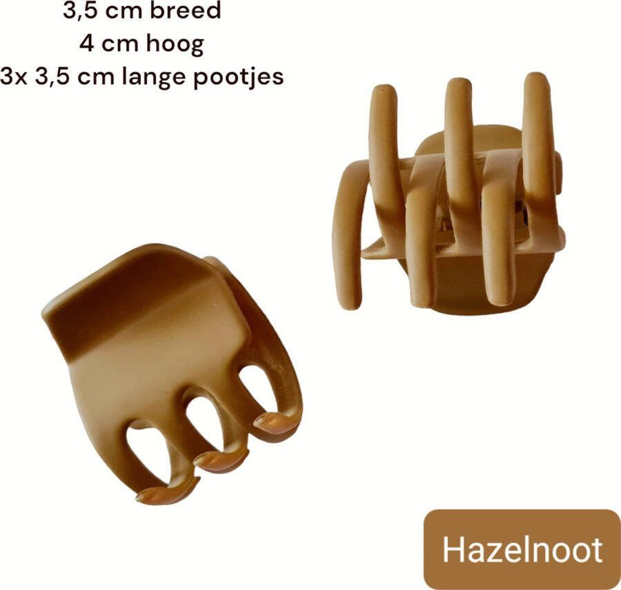 H.A.M.A. Haarklem Bruin Hazelnoot Gematteerd 3 5 x 4 cm Volwassen Tieners 1 stuks 3 4 cm