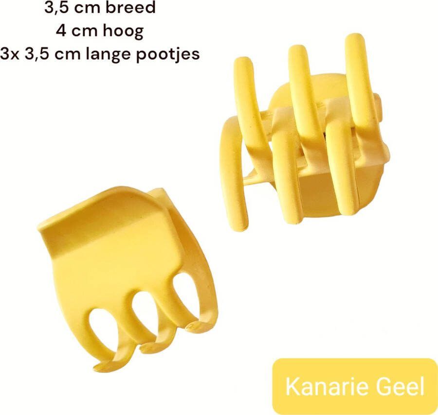 H.A.M.A. Haarklem Geel Kanarie Gematteerd 3 5 x 4 cm Volwassen Tieners 1 stuks 3 4 cm