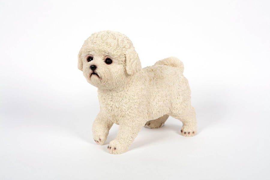 Hamac Bichon Frise Staand Tuinbeeld