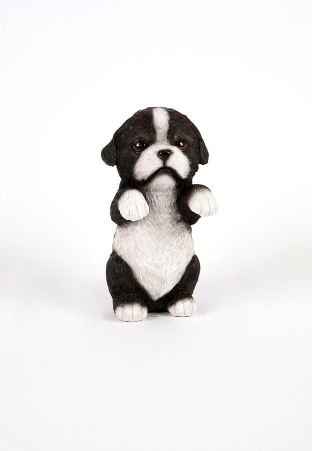 Hamac Border Collie pup Tuinbeeld