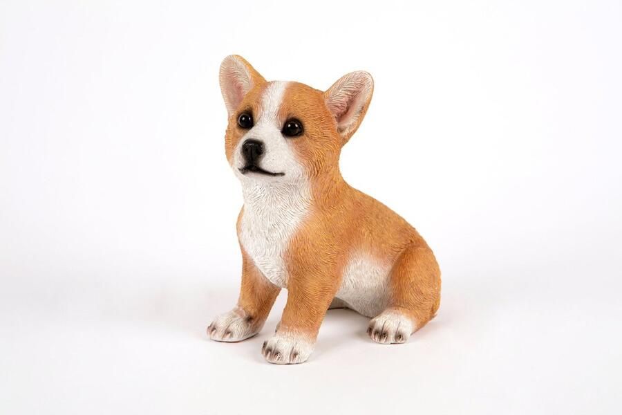 Hamac Corgi Pup Tuinbeeld
