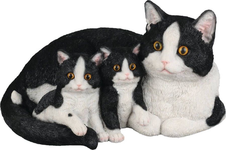 Hamac Kat met kittens Tuinbeeld