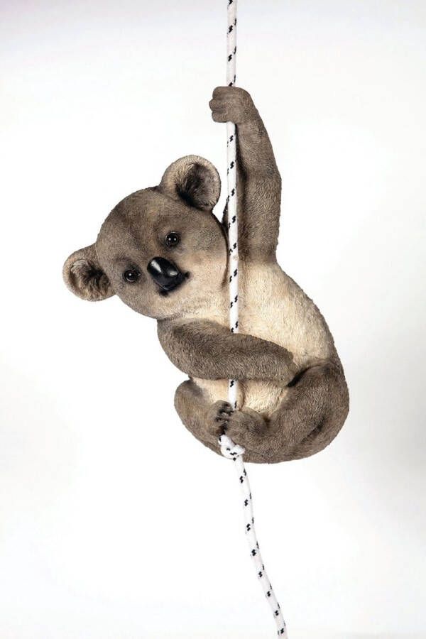 Hamac Klimmende Koala Tuinbeeld