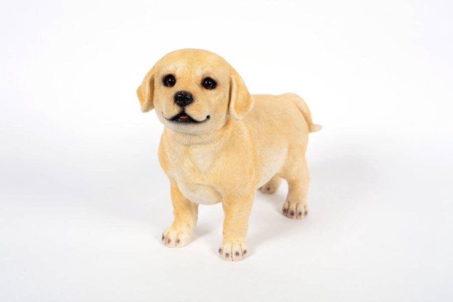 Hamac Labrador Staand Tuinbeeld