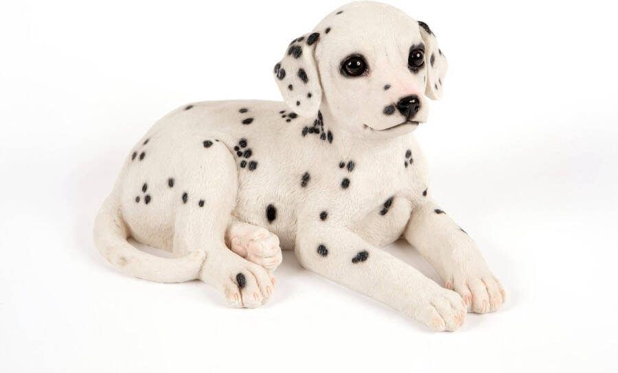 Hamac Liggende Dalmatiër Tuinbeeld
