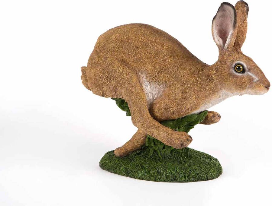 Hamac Rennende Haas Tuinbeelden