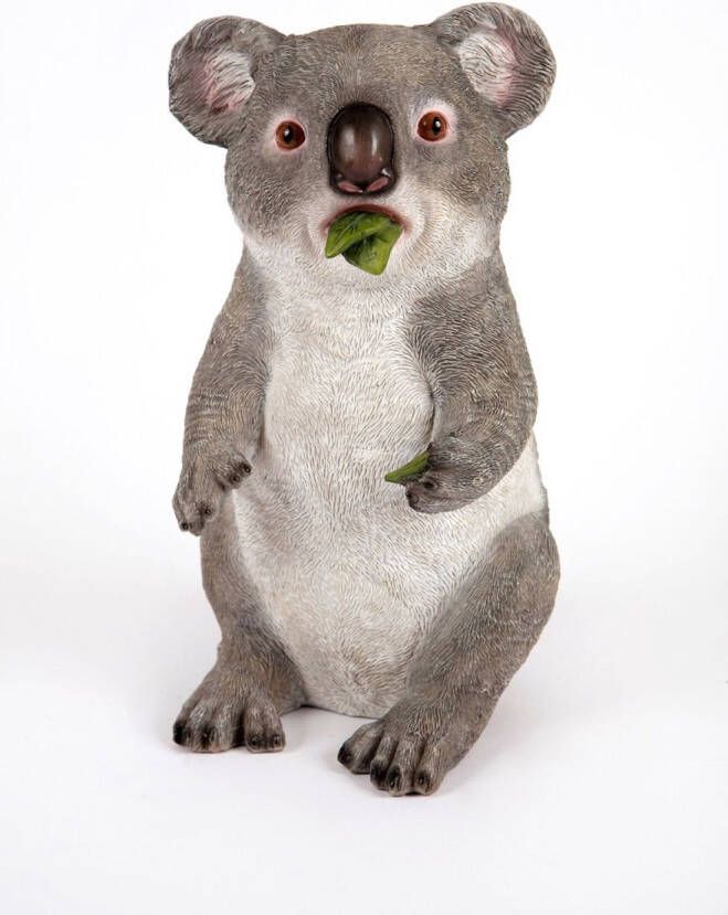 Hamac Staande Koala Tuinbeeld