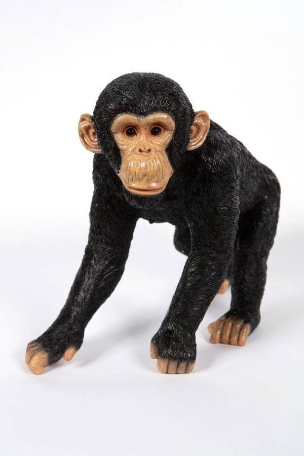 Hamac Wandelende chimpansee Tuinbeeld