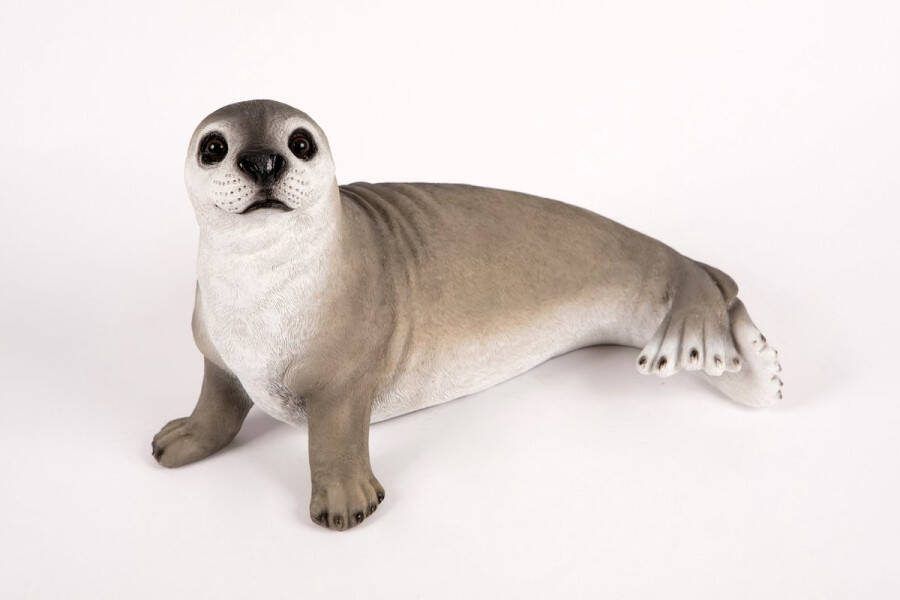 Hamac Zeehond Tuinbeeld