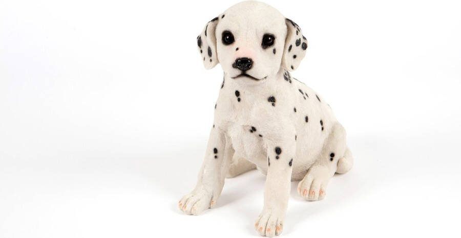 Hamac Zittende Dalmatiër Tuinbeeld
