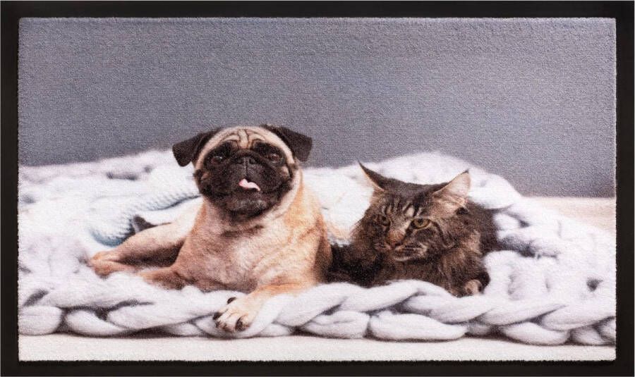 HAMAT Deurmat Image Cat & Dog Deurmat 40x60 cm Multi-Color
