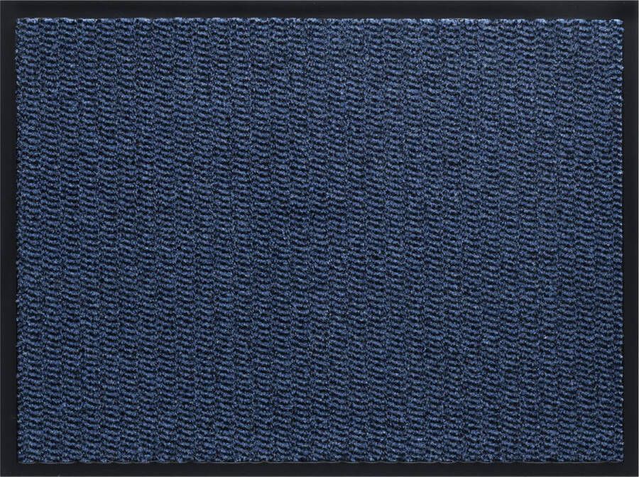 Praxis Deurmat Spectrum Blauw 120x180cm