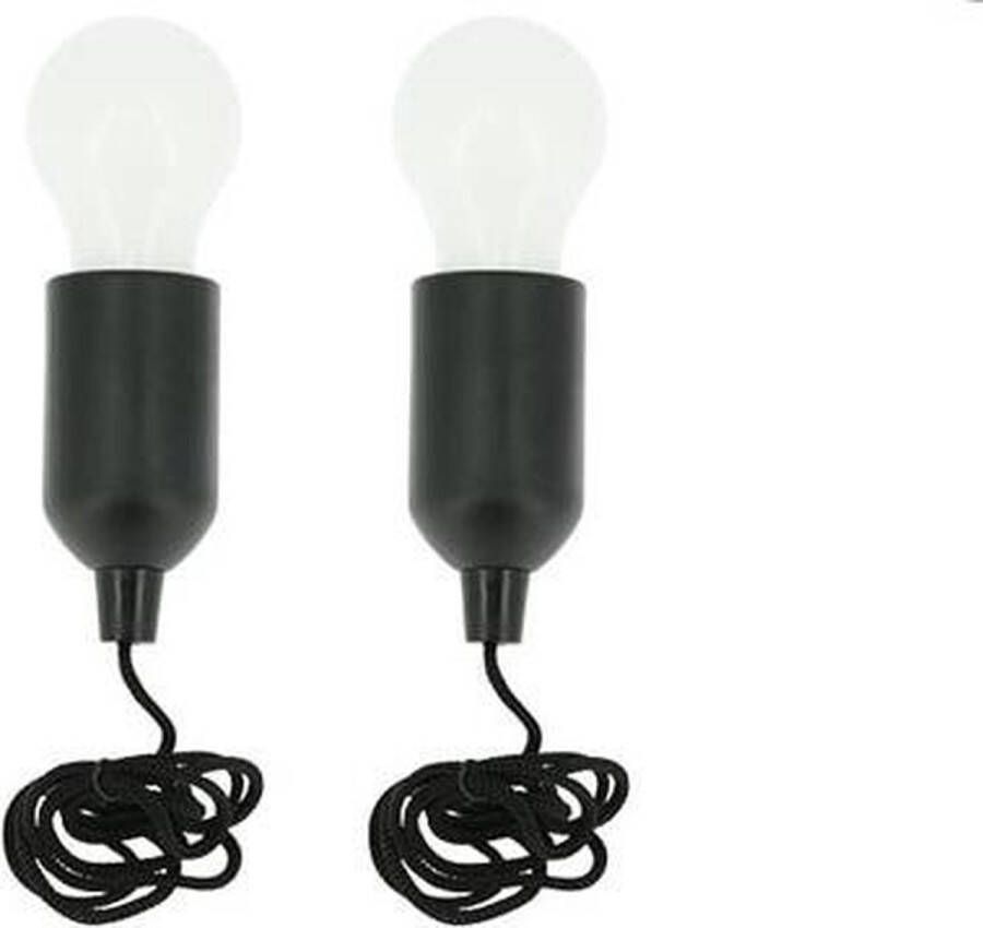 Handy Lux HandyLux set van 2 zwart Gloeilampjes LED lamp Feestverlichting Binnen EN Buiten