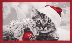 HANSE Home Mat Christmas Cat Geschikt voor binnen en buiten diermotief gemakkelijk in onderhoud antislip kerst wasbaar