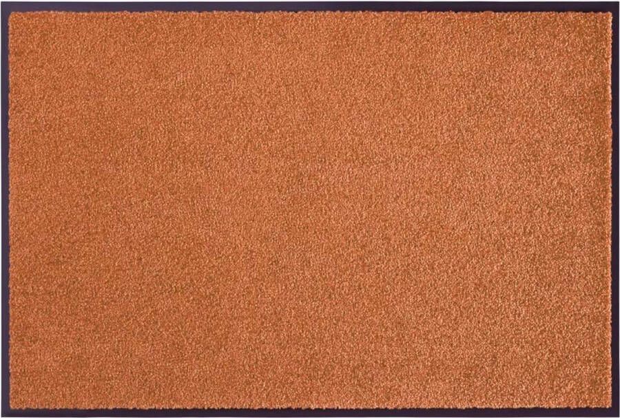 HANSE Home Mat Wash & Clean Vuilopvangmat deurmat in- en uitwendig tapijt loper wasbaar