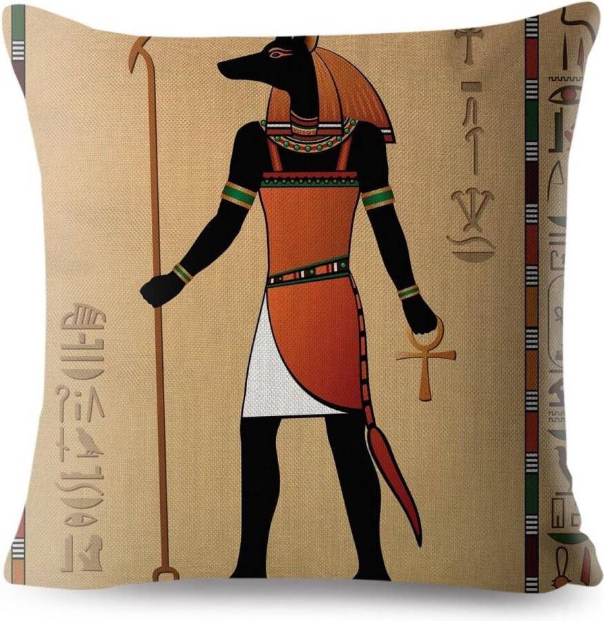 Harani Kussenhoes Afrika Egypte Collectie 11 afbeelding 3 (achtergrond is geel oranje)