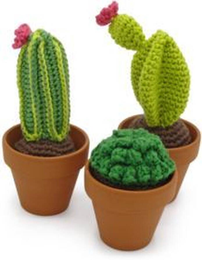 HardiCraft Cactussen haken (haakpakket)