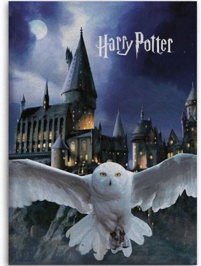 SimbaShop Harry Potter Fleece deken Hogwarts Hedwig 100 x 140 cm Polyester
