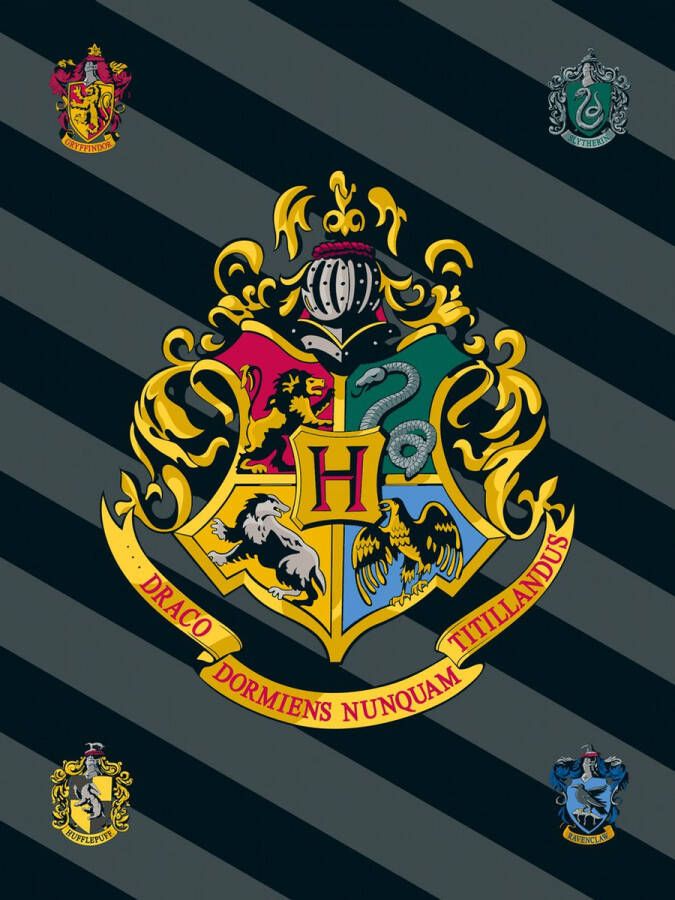 SimbaShop Harry Potter Fleece deken Logo 100 x 150 cm Polyester