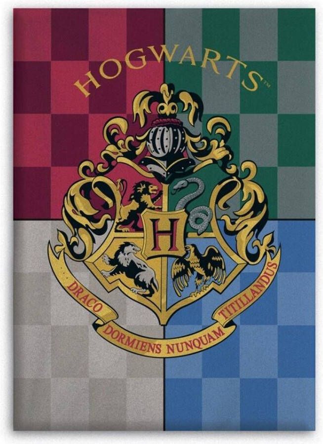 VideogamesNL Harry Potter fleecedeken Hogwarts junior 110 x 140 cm
