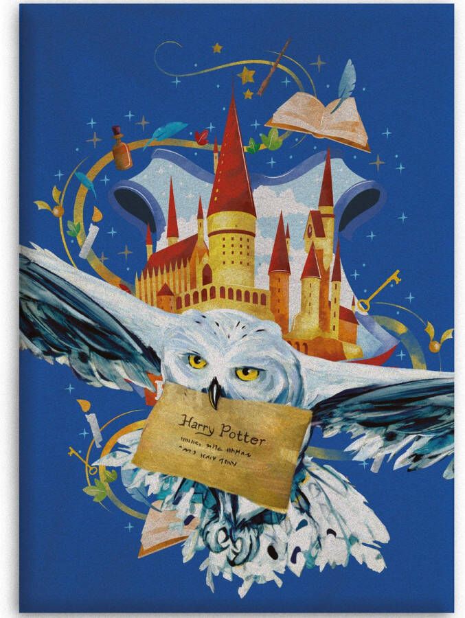 Harry Potter Fleeceplaid Air Mail 100 x 140 cm Blauw