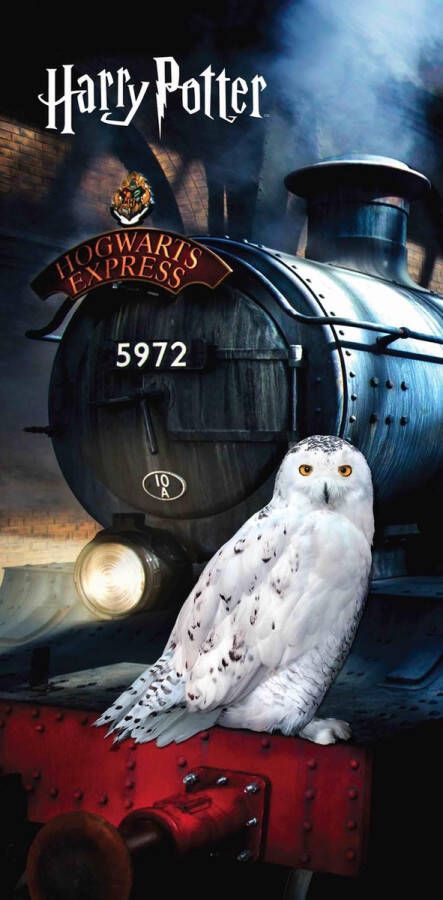 SimbaShop Harry Potter Strandlaken Hedwig 70 X 140 Cm Katoen