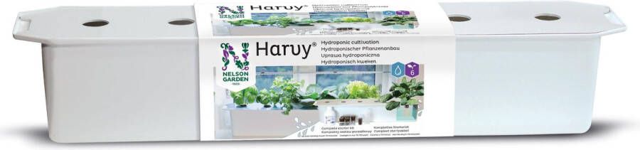 Harvy Grow Box Starters Pakket kweekbak moestuin hydrocultuur met salade basilicum en voedingsmiddelen