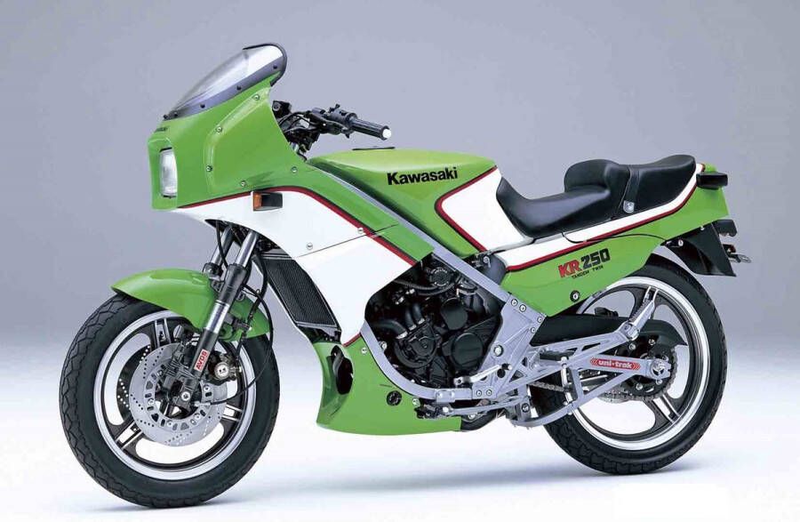 Hasegawa 1:12 21512 Kawasaki KR250 BK12 Motor Plastic kit