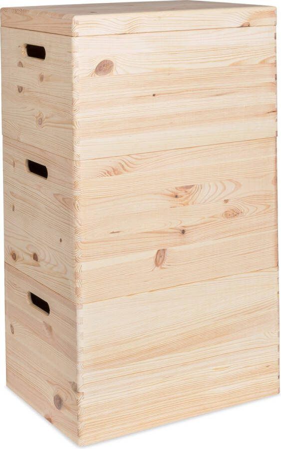 Haudt Houten stapelkist set 3 x KIM Maxi houten kisten stapelbare opbergkist vurenhout