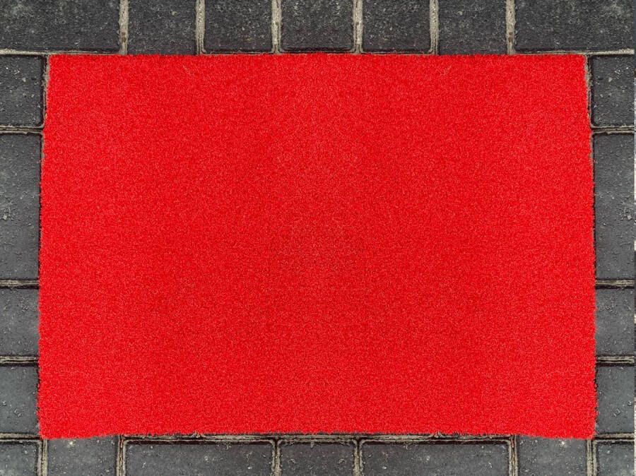 Heesters Kunstgras deurmat rood 70cm bij 50cm