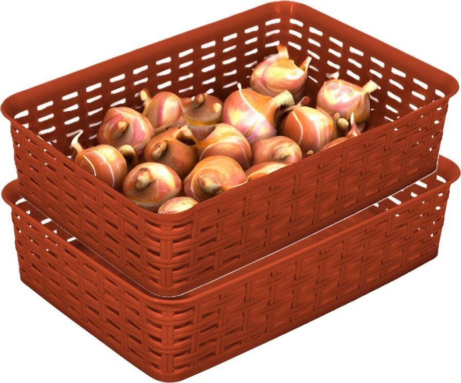 Hega hogar Opbergmandje ladeverdeler 2x terra bruin 2 liter kunststof 17 x 25 x 6 cm kleine opslag bakjes manden