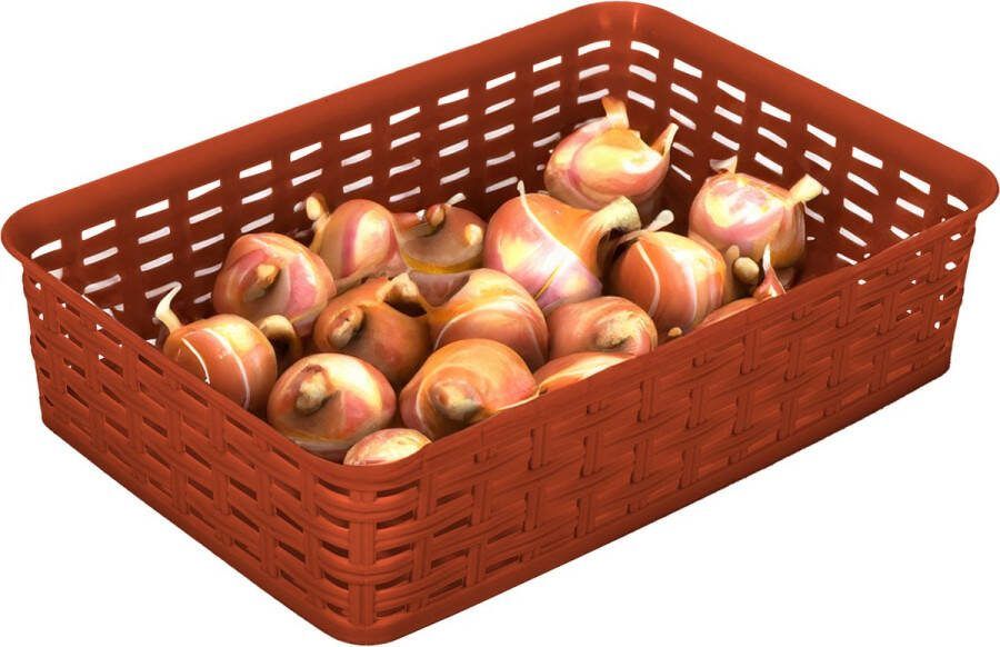 Hega hogar Opbergmandje ladeverdeler terra bruin 2 liter kunststof 17 x 25 x 6 cm kleine opslag bakjes manden