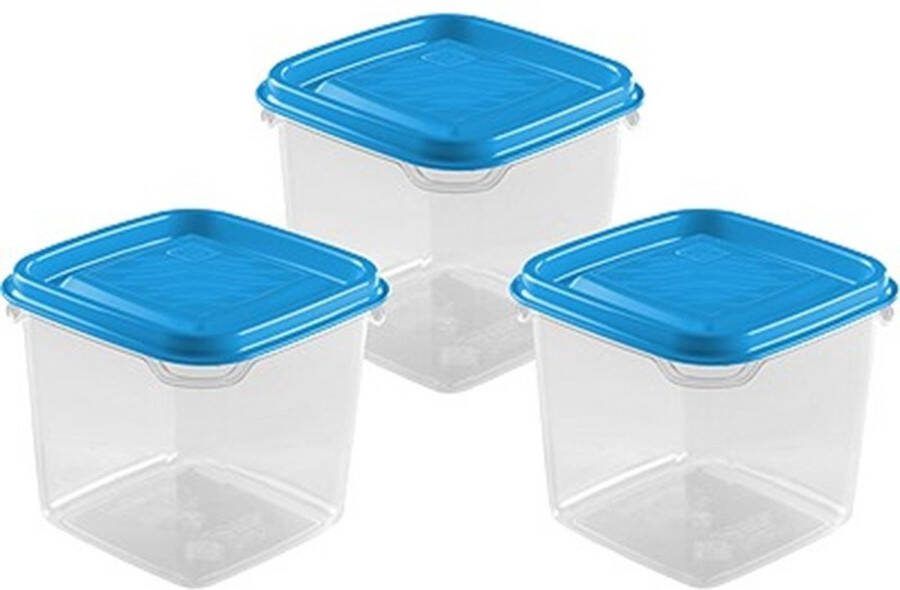 Hega hogar Vershoudbakjes set 3x stuks 0.3 liter transparant blauw L8 x B8 x H11 cm Mealprep Maaltijden bewaren