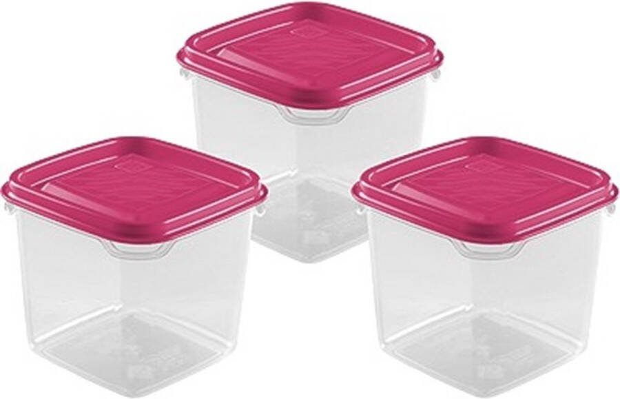 Hega hogar Vershoudbakjes set 3x stuks 0.3 liter transparant roze L8 x B8 x H11 cm Mealprep Maaltijden bewaren