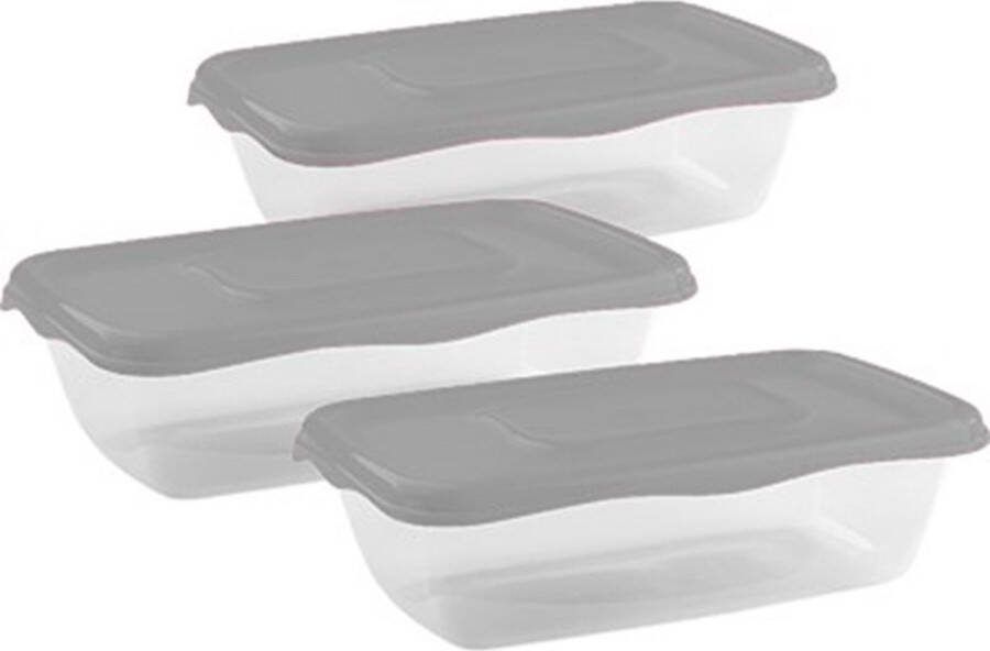 Hega hogar Vershoudbakjes set 3x stuks 0.9 liter transparant grijs L20 x B12 x H8 cm Mealprep Maaltijden bewaren