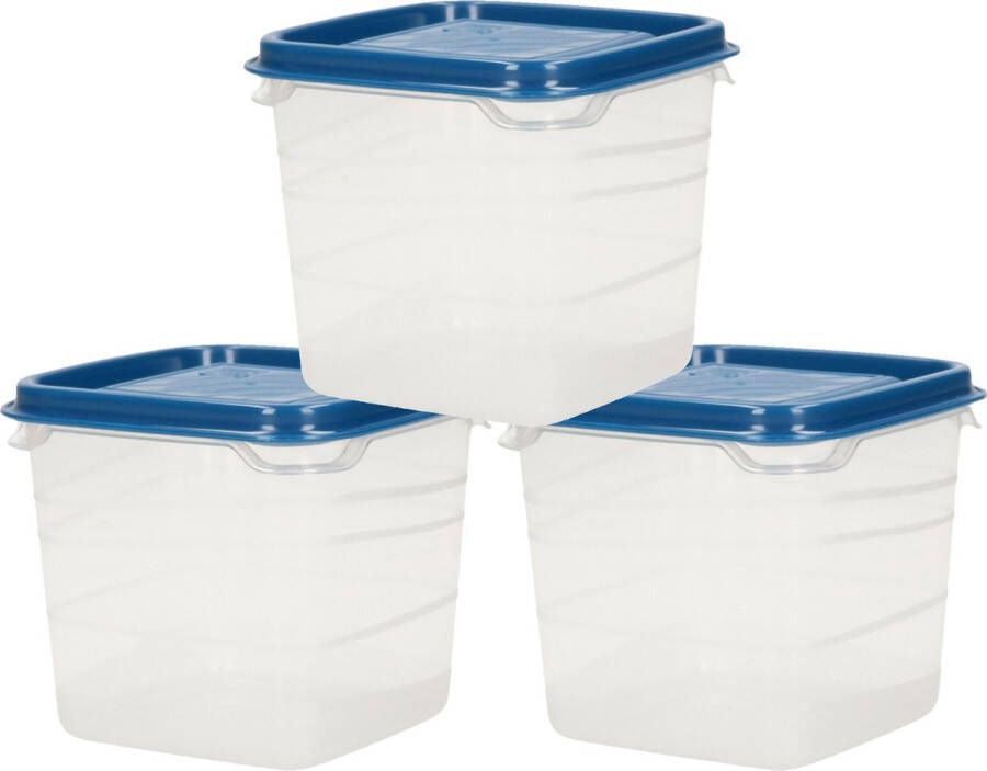 Hega hogar Voorraad vershoudbakjes 9x -transparant blauw kunststof 0 3 liter