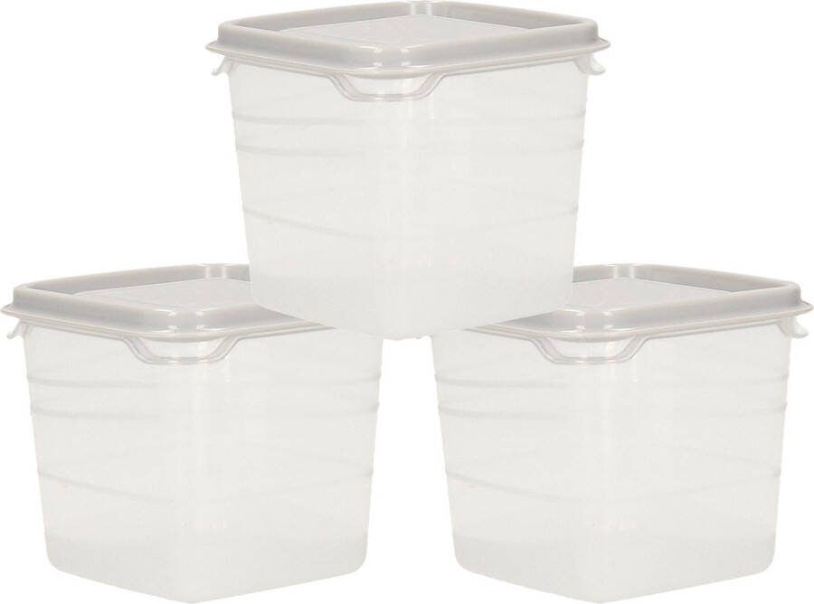 Hega hogar Voorraad vershoudbakjes 9x -transparant grijs kunststof 0 3 liter