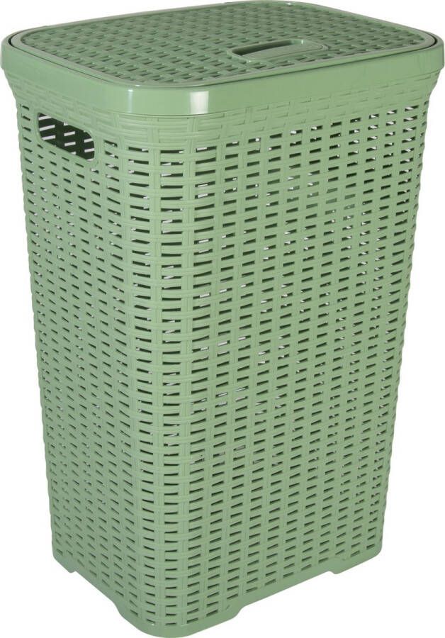 Hega hogar Wasmand met deksel Rotan groen gevlochten kunststof 60 liter 34 x 43 x 62 cm