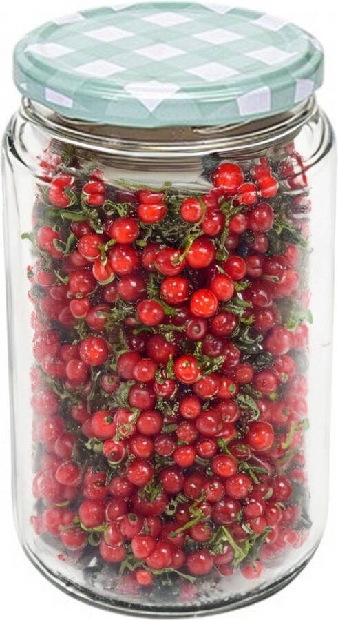 Hega hogar Weckpot voorraadpot Classico 750 ml kunststof draaideksel groen D8 x H14 cm